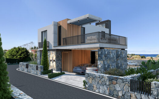 Villa For Sale 100 Meters From the Sea